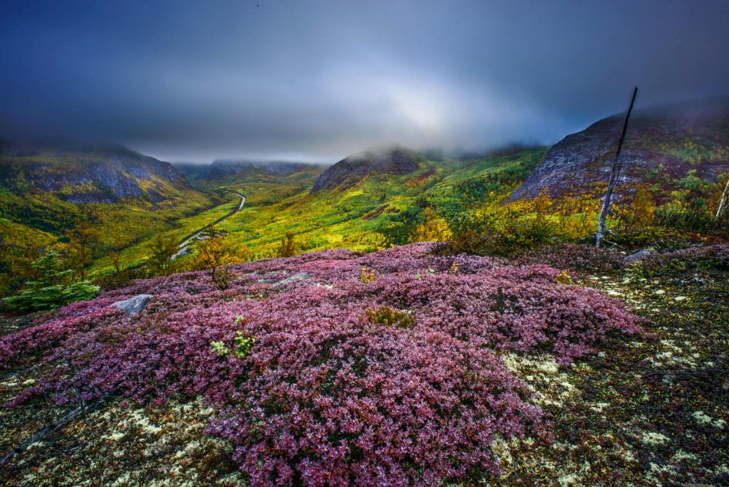 heather cox richardson