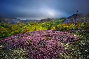 heather cox richardson